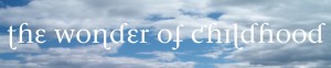 wonderbanner960